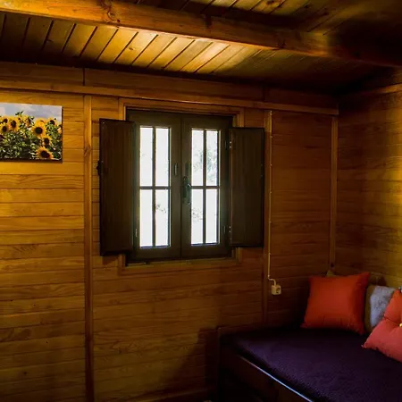 Xisto Janeiro de Baixo