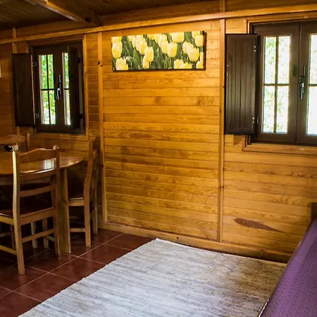 Camping Xisto Janeiro de Baixo