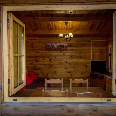 Xisto Janeiro de Baixo