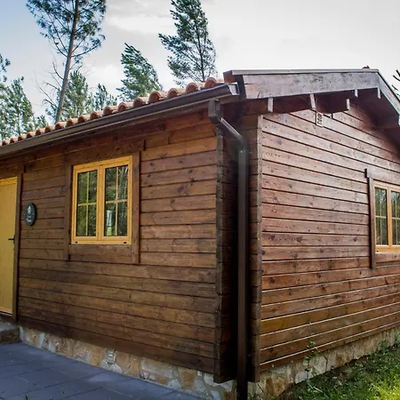 Xisto Janeiro de Baixo