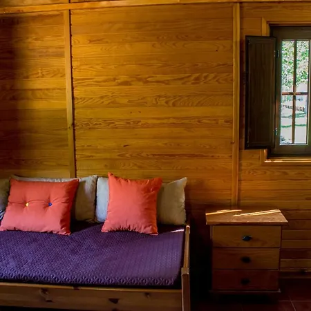 Xisto * Janeiro de Baixo