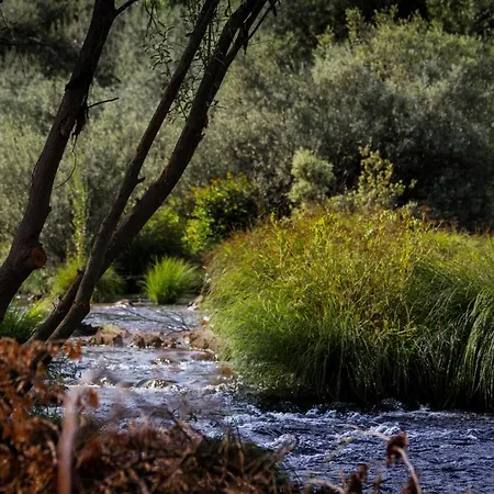 Xisto Janeiro de Baixo