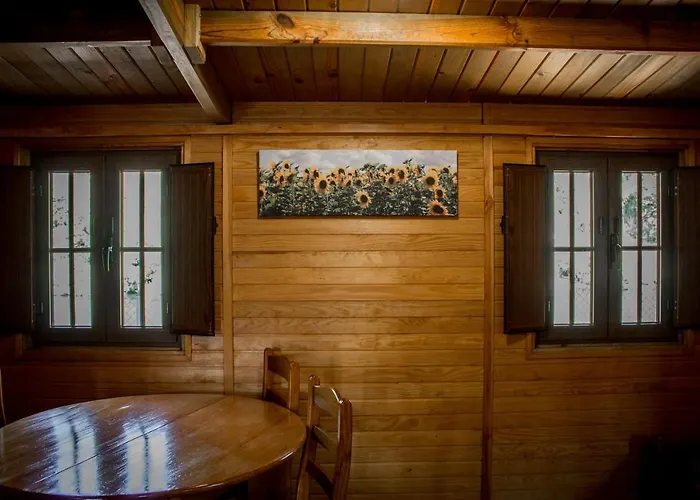 Campingplatz Xisto Janeiro de Baixo