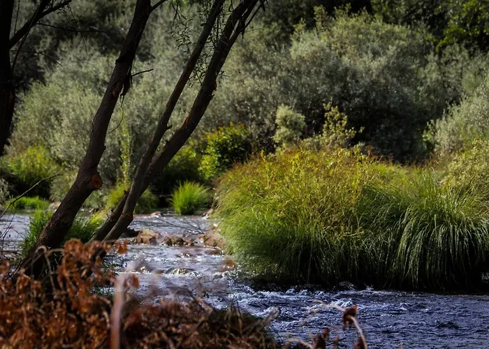 Xisto Janeiro de Baixo